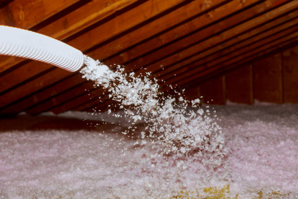 Best Residential Insulation in Somerton, AZ