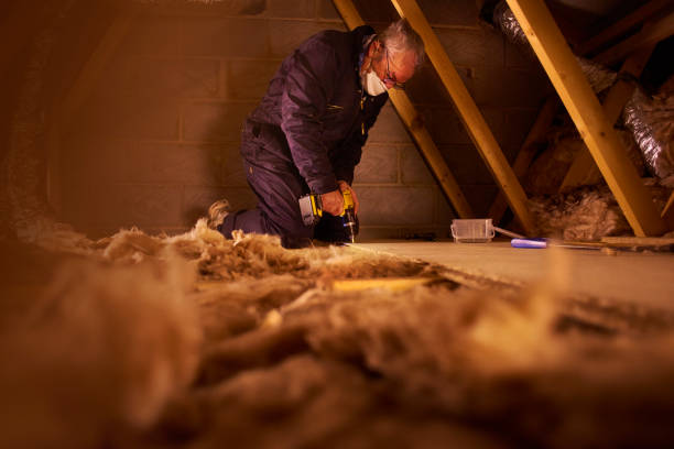 Best Specialized Insulation Services in Somerton, AZ